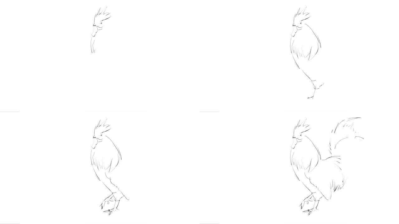 公鸡的手绘-艺术过程