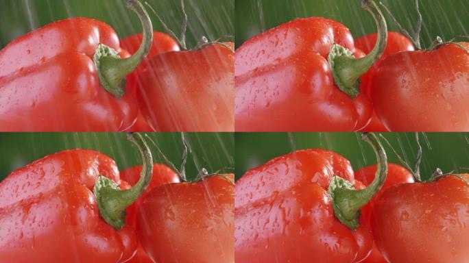 洗素食特写。自来水下的胡椒和番茄