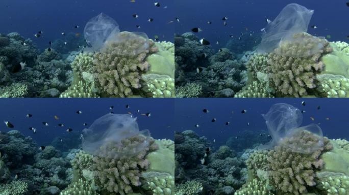 慢动作，塑料袋挂在美丽的珊瑚礁上，在海浪中摇曳，在蓝色的水底上游过五颜六色的热带鱼。海洋的水下塑料污