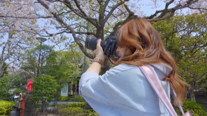 年轻女孩正在拍摄樱花的照片