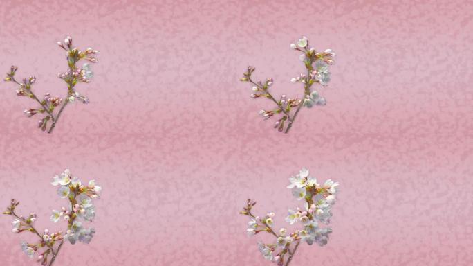 樱花和日本图案