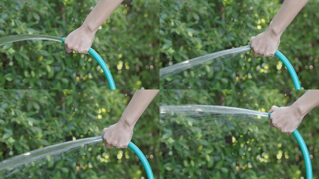 给一棵树浇水。女园丁，用软管浇灌家庭花园中的植物和树木。女人的手臂正在使用喷水软管。从橡胶管注入水。