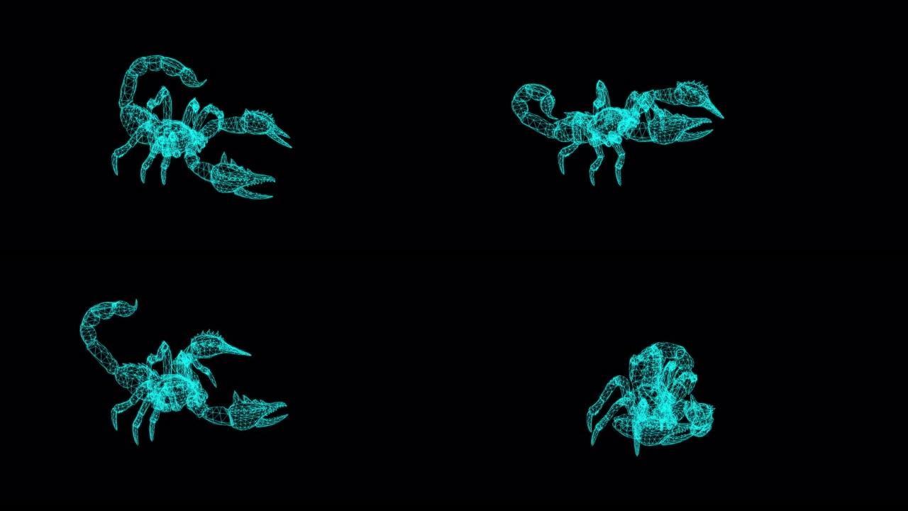4k线框动画-处于攻击性姿势的森林蝎子