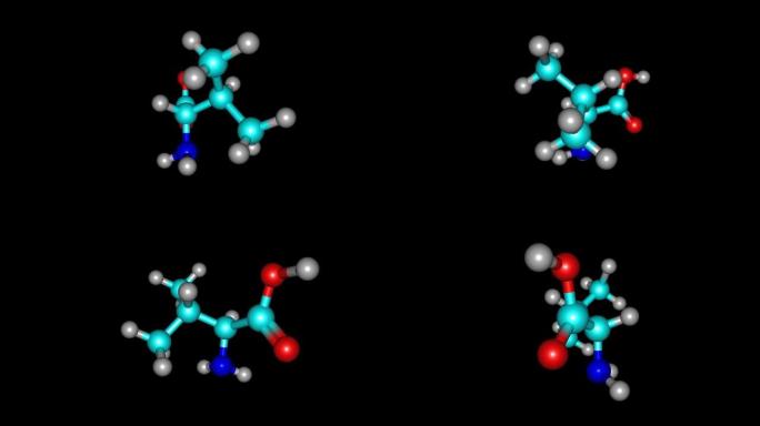 缬氨酸氨基酸分子旋转视频