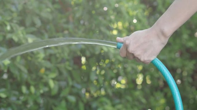 给一棵树浇水。女园丁，用软管浇灌家庭花园中的植物和树木。女人的手臂正在使用喷水软管。从橡胶管注入水。