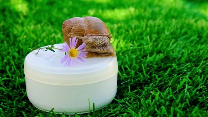 蜗牛和花，皮肤护理，粘蛋白霜