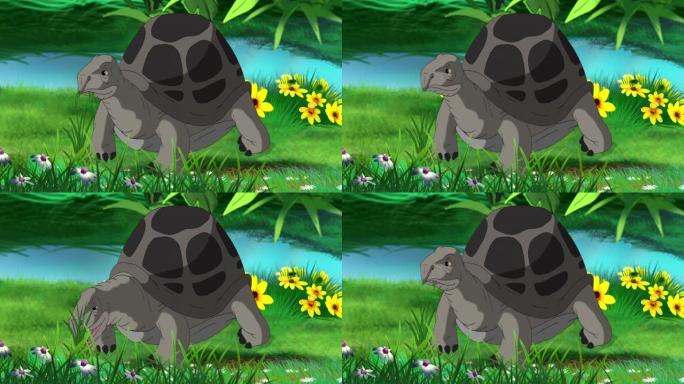大灰象龟吃草
