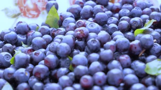 蓝莓。野生森林浆果。平稳旋转。最强大的抗氧化剂，从体内消除放射性核素。解毒剂效应