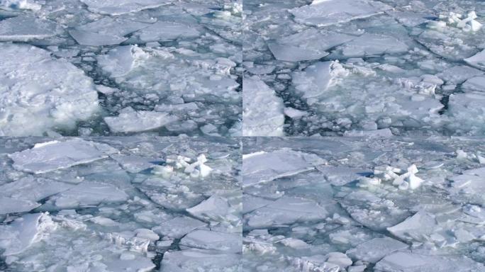 海中的冰，冰的背景