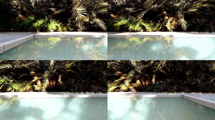 晴朗的晴天，一个失落的热带岛屿上美丽的游泳池。逼真的3D动画。