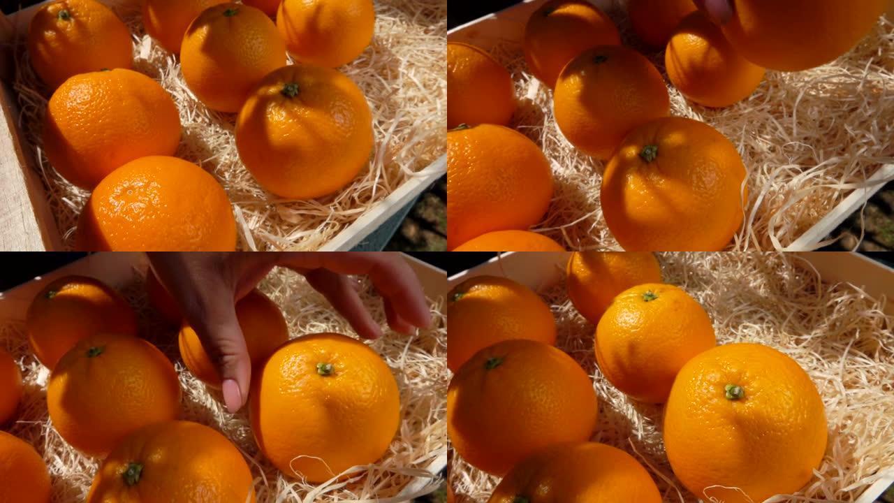 雌性手将美味多汁的橘子放入带有刨花的木箱中