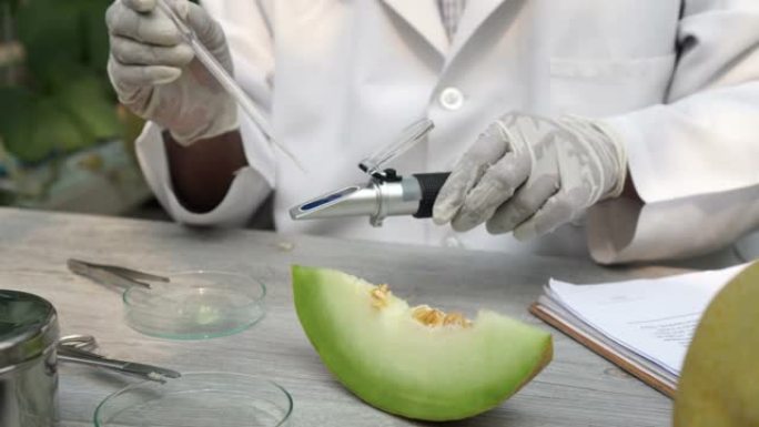 资深亚洲农业研究科学家使用白利度折射甜度测试工具在甜瓜农场测试糖和甜度水平