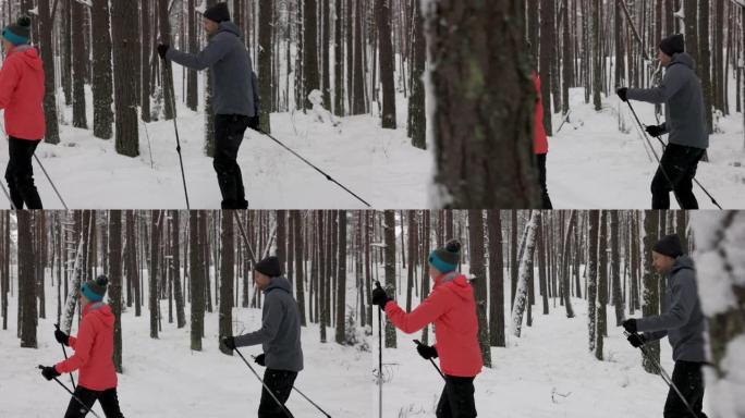 在深新鲜的雪中滑雪旅行-年轻夫妇在雪中的冬季森林中滑雪