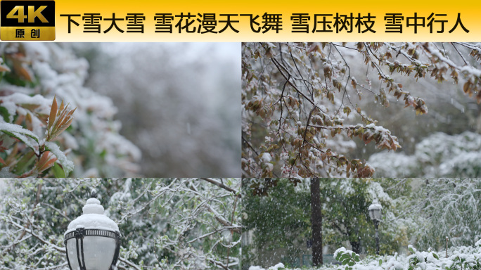 下雪 雪花漫天飞舞 雪压树枝 雪中行人