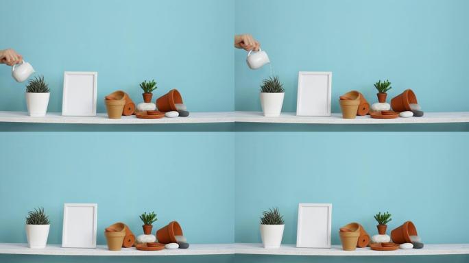 带相框模型的现代房间装饰。白色架子，贴有陶器和多汁植物的柔和绿松石墙。手工浇水盆栽多汁植物。
