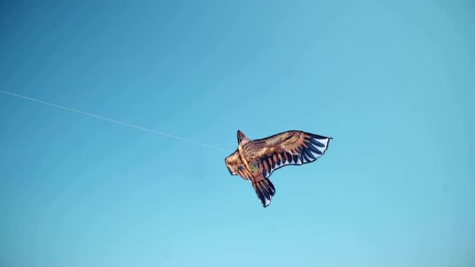 彩色风筝鹰在深蓝色的天空中挥舞着太阳的光芒