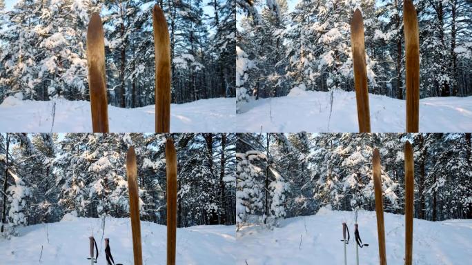 在阳光明媚的冬日，古老的木头野外滑雪板，滑雪杖站在白雪皑皑的森林里。滑雪旅游