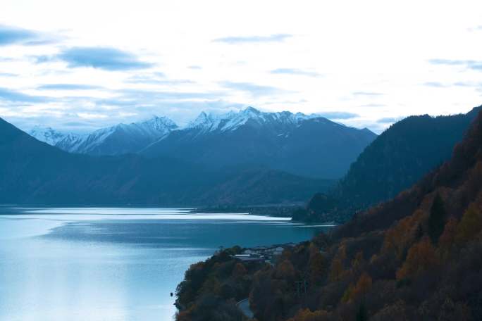 西藏 西藏美景 秋天秋树秋叶西藏灵芝景区