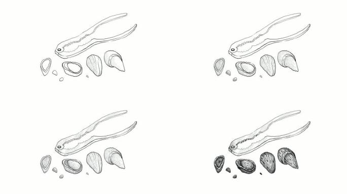 用胡桃夹子视频剪辑手绘杏仁