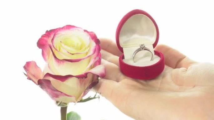 在礼品盒中展示美丽的玫瑰和戒指，呈手掌心形。