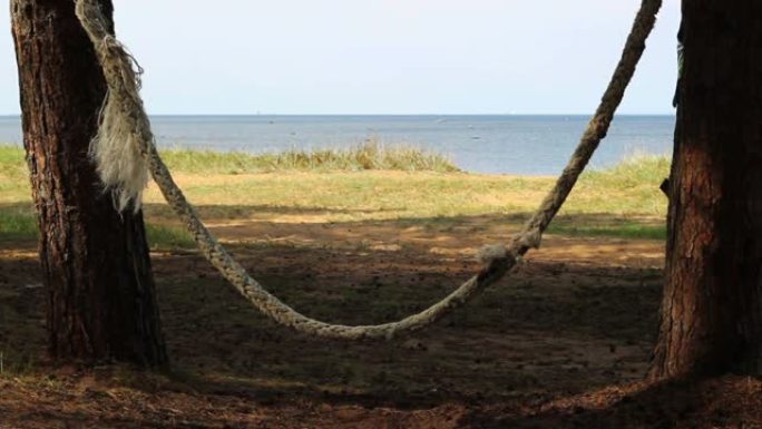 两根松树之间的电缆摆动。海景
