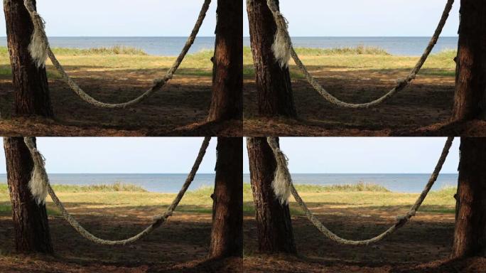 两根松树之间的电缆摆动。海景
