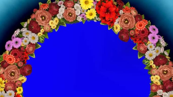 蓝色背景上旋转的花朵环的动画。色度键。循环视频