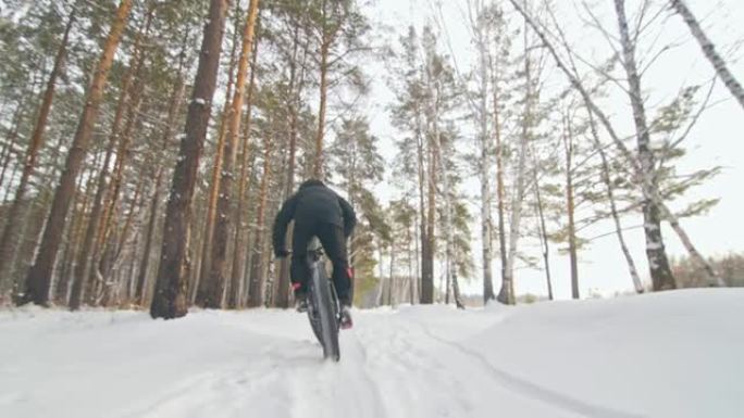 专业极限运动员骑自行车的人在户外骑胖自行车。后轮的特写视图。骑自行车的人在冬季森林里骑自行车。骑着大