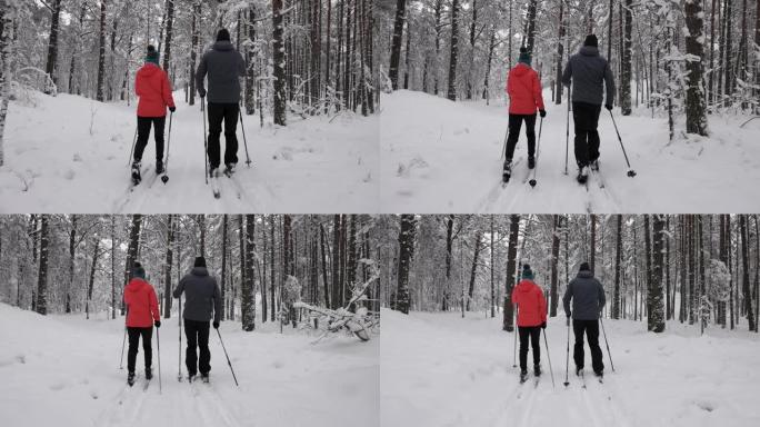 在深新鲜的雪中滑雪旅行-年轻夫妇在雪中的冬季森林中滑雪