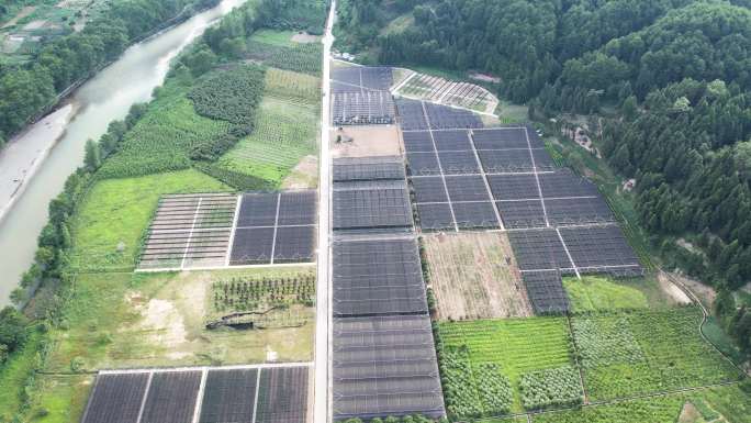 油茶育苗基地航拍