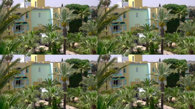 热带度假。美丽的热带景观，棕榈树在蓝天背景下在度假村