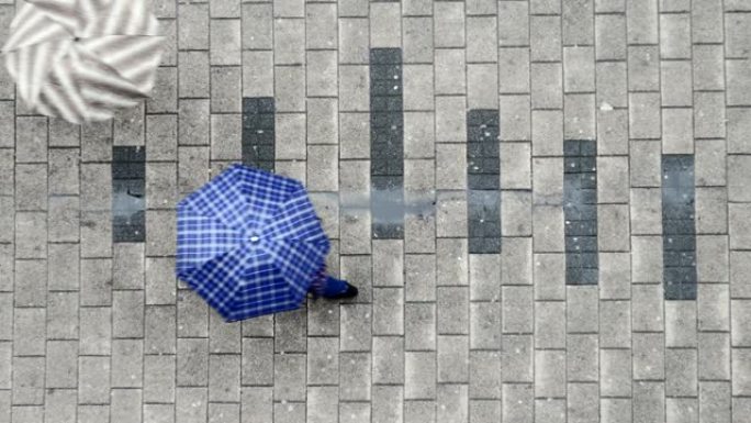 带伞走在街上的人的俯视图。雨天概念。