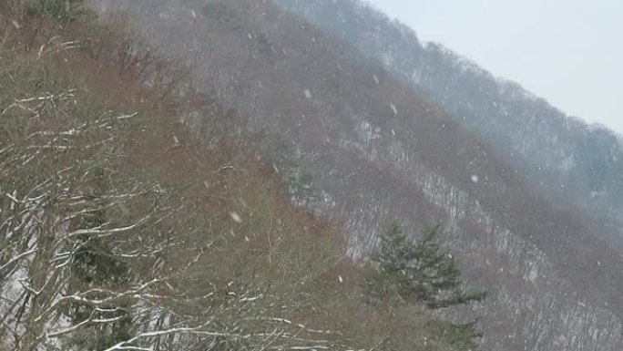 日本风景的冬天下雪