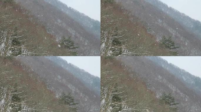 日本风景的冬天下雪
