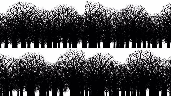 没有叶子的光秃秃的树木的动画。黑白轮廓。