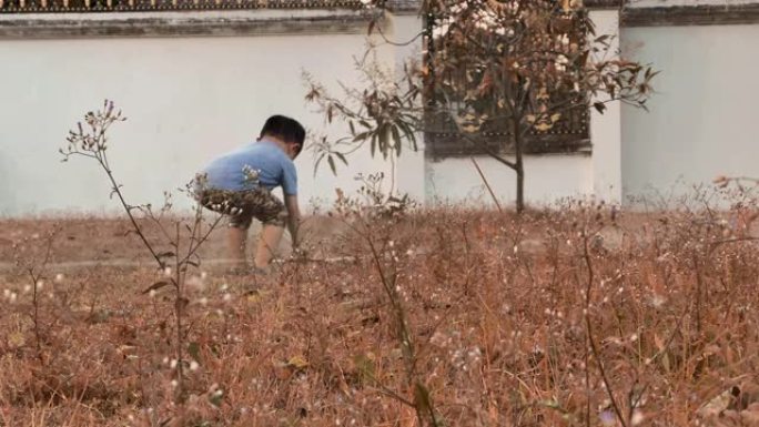 洒水在棕色草丛中耗尽