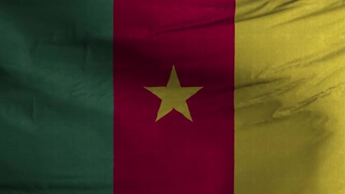 喀麦隆旗帜纹理波浪背景4K