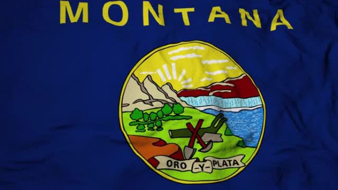 蒙大拿州国旗的3D动画