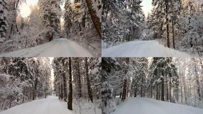 在寒冷的日子里，汽车穿越美丽的白雪皑皑的森林。美丽的大自然在雪地里对抗蓝天