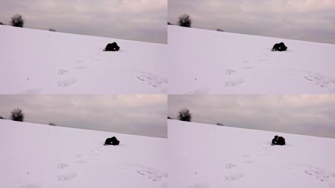 徒步旅行者跌入雪地，瑟瑟发抖