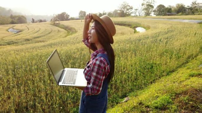 4k视频WS选择性聚焦多莉拍摄的年轻亚洲女农民戴着帽子，背着笔记本电脑站在麦田上，仰望美丽的阳光，微