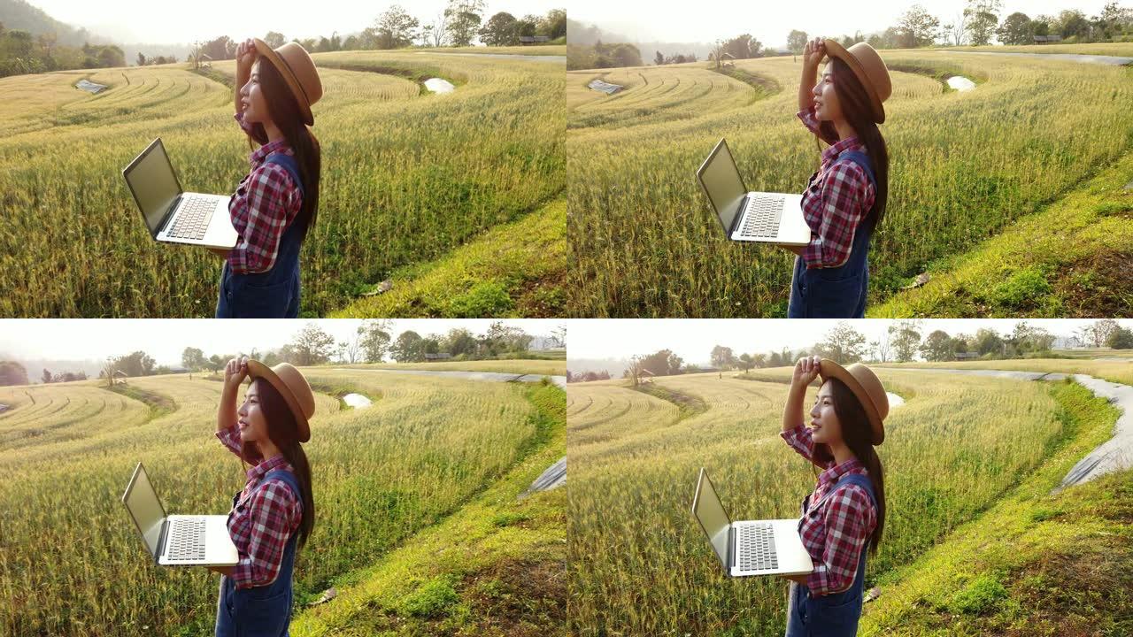 4k视频WS选择性聚焦多莉拍摄的年轻亚洲女农民戴着帽子，背着笔记本电脑站在麦田上，仰望美丽的阳光，微