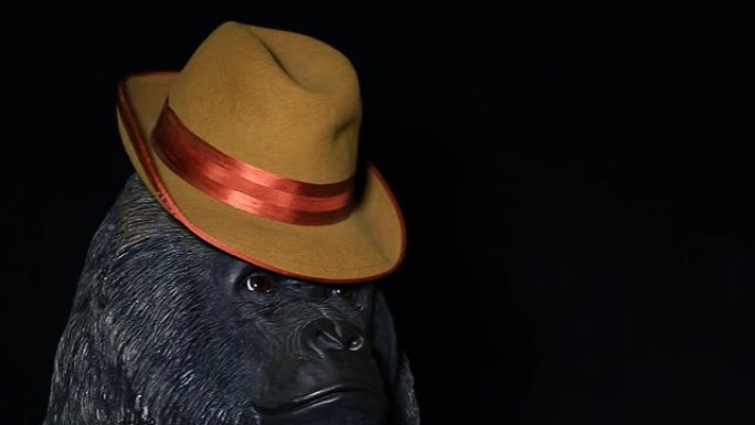 大猩猩头复古帽子深色背景高清镜头