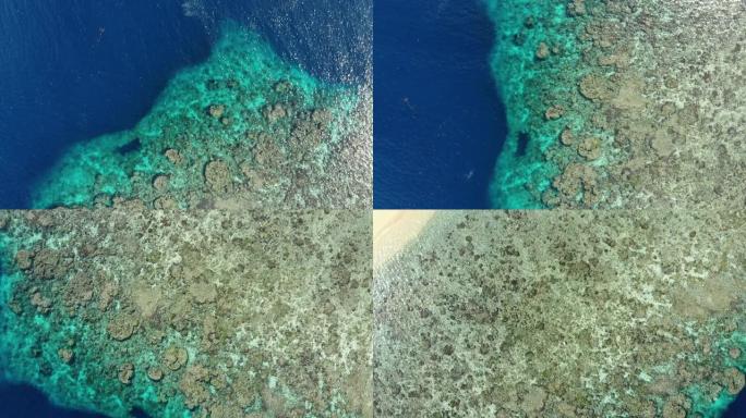 空中: 飞越热带哈达岛珊瑚礁班达群岛印度尼西亚马鲁古