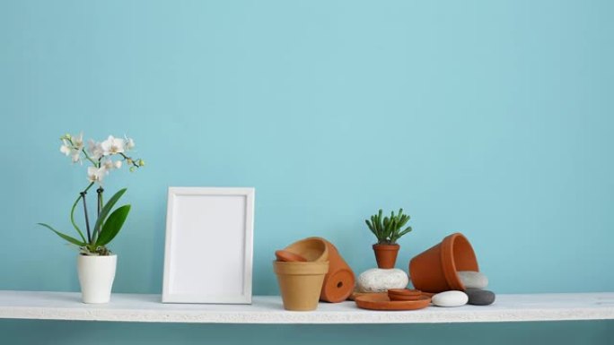 带相框模型的现代房间装饰。白色架子，贴有陶器和多汁植物的柔和绿松石墙。手放下盆栽兰花。