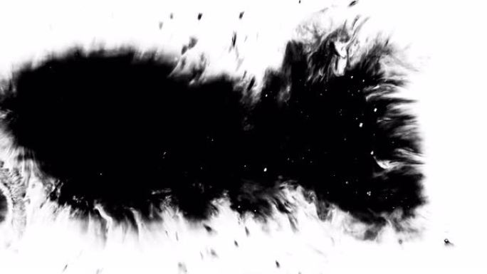 黑色墨水和油漆滴过渡。一组抽象的艺术染料飞溅，液滴在白色背景上落下并扩散。墨水流血并开花，滴水。墨罩