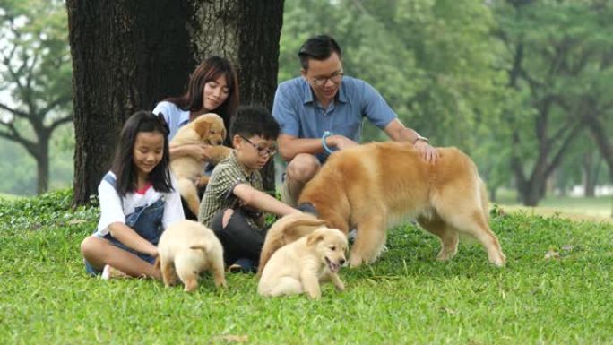 有小狗的亚洲家庭亚裔一家周末出行游玩外国