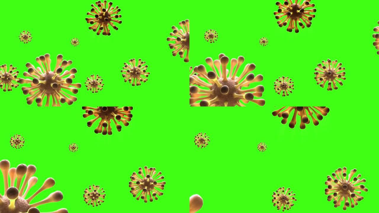 绿屏背景上电晕病毒分子3d渲染之间的飞越