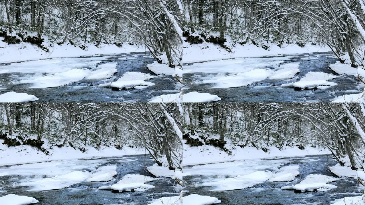 雪落北海道森林溪冬天雪地树林丛林白雪皑皑
