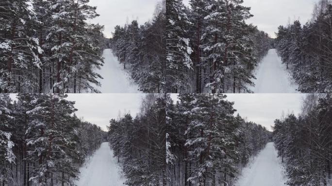 冬天美丽的森林在雪地里，一条路走得更深。荒无人烟的冬天。鸟瞰图